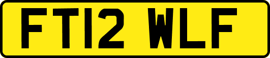 FT12WLF