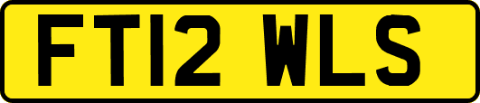 FT12WLS