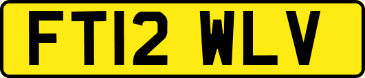 FT12WLV