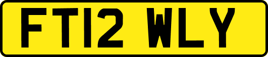 FT12WLY
