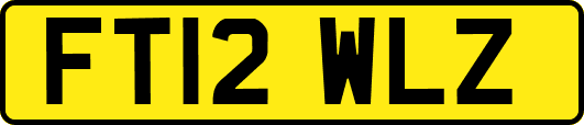 FT12WLZ
