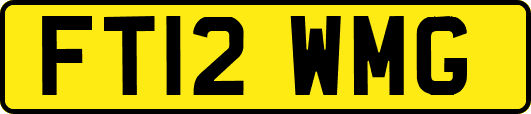 FT12WMG