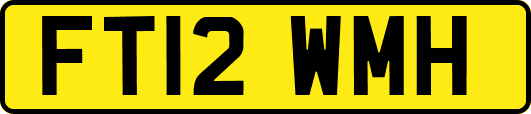 FT12WMH