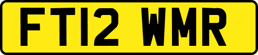 FT12WMR