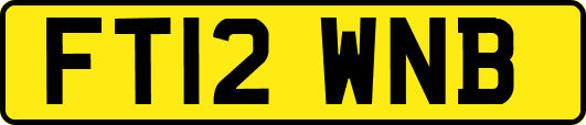 FT12WNB