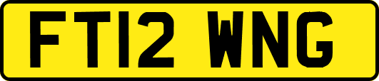 FT12WNG