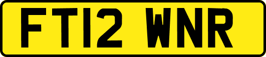 FT12WNR