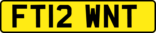 FT12WNT