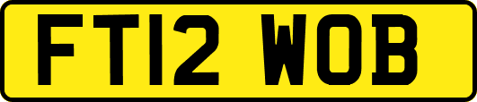 FT12WOB