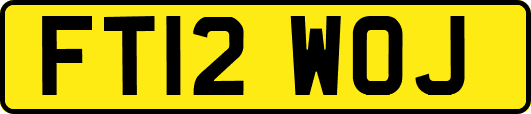 FT12WOJ