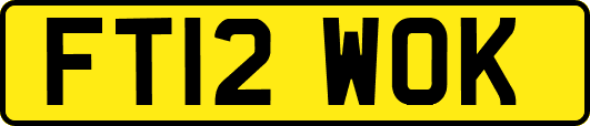 FT12WOK