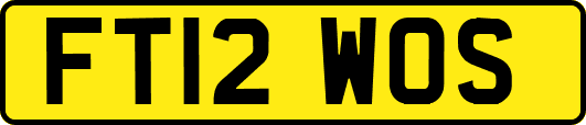 FT12WOS