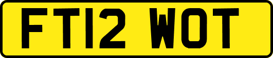 FT12WOT