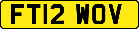 FT12WOV