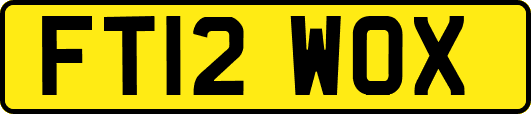 FT12WOX