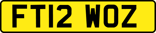 FT12WOZ
