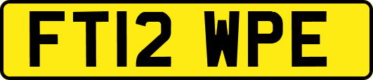 FT12WPE
