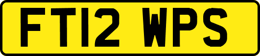 FT12WPS