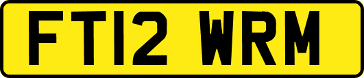 FT12WRM