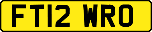 FT12WRO