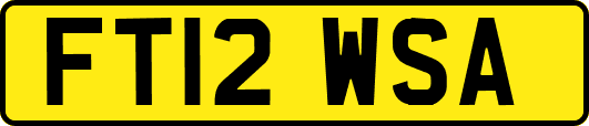 FT12WSA