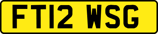 FT12WSG
