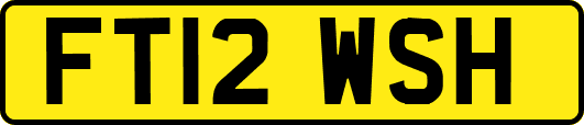 FT12WSH