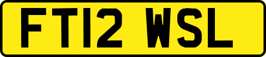 FT12WSL