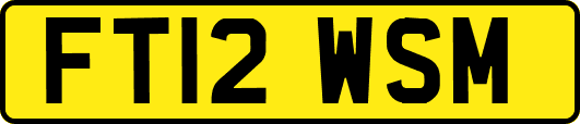 FT12WSM