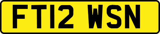 FT12WSN
