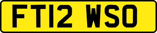 FT12WSO