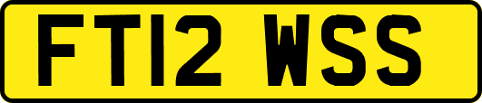 FT12WSS