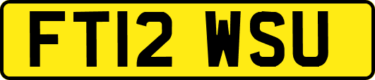 FT12WSU