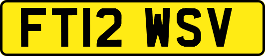 FT12WSV