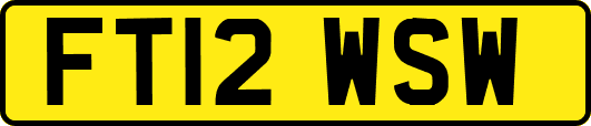 FT12WSW