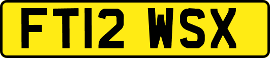 FT12WSX