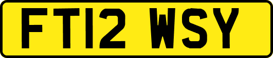 FT12WSY