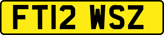 FT12WSZ