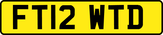 FT12WTD