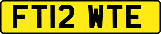 FT12WTE