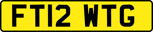 FT12WTG