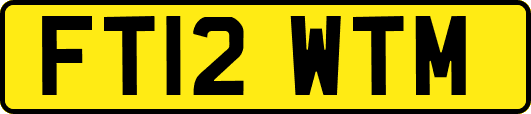 FT12WTM
