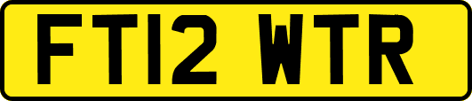FT12WTR