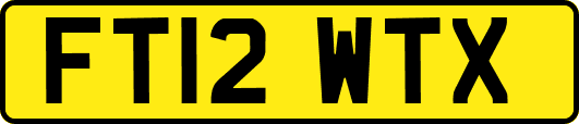 FT12WTX