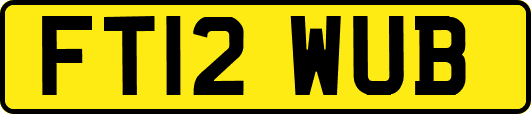 FT12WUB