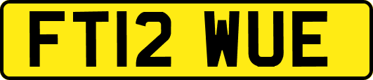 FT12WUE