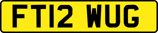 FT12WUG