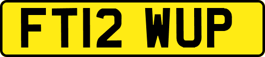 FT12WUP