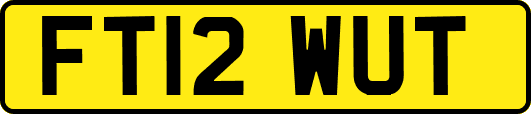 FT12WUT