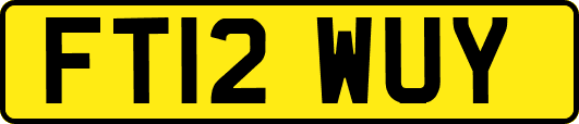 FT12WUY